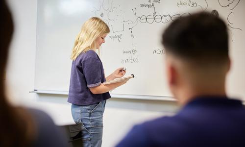 A student studying science at a whiteboard.